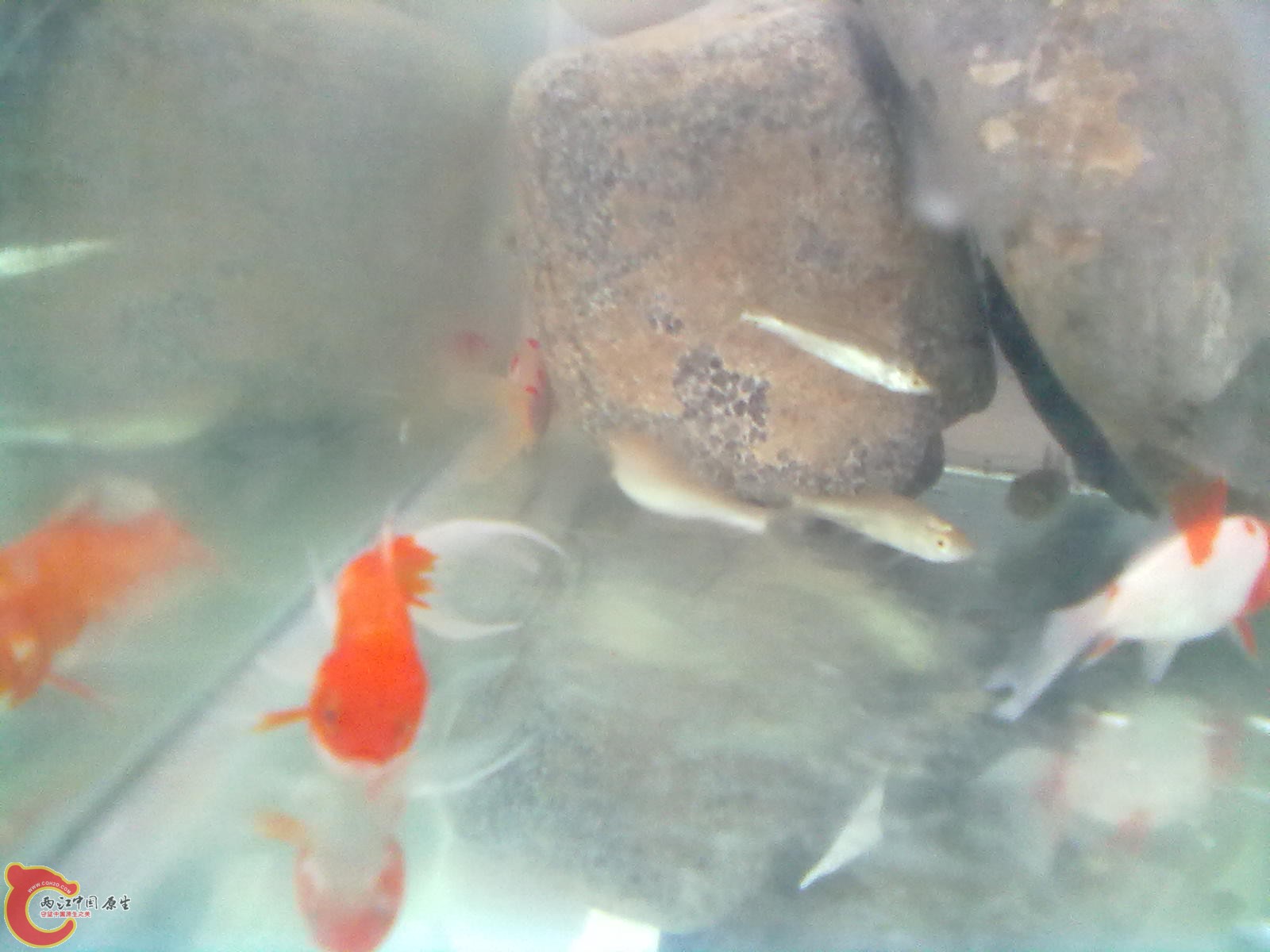 20120416585.jpg