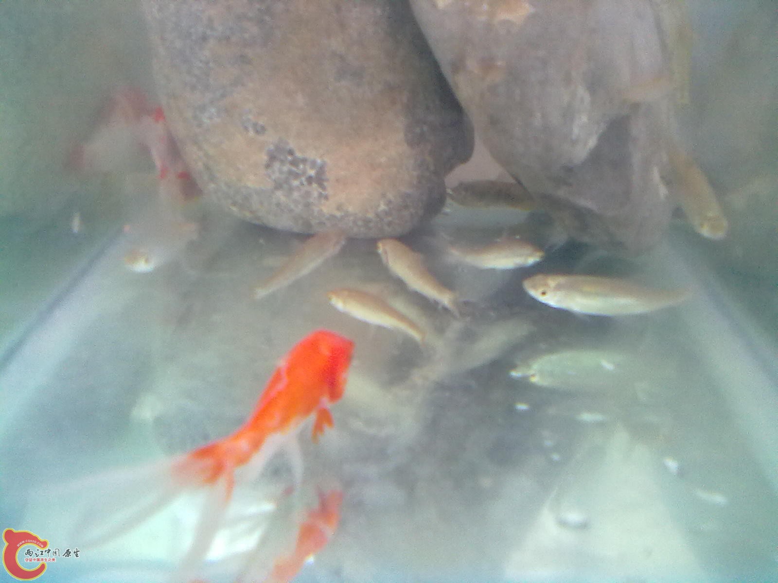 20120416586.jpg