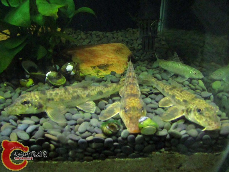 IMG_6758_副本.jpg