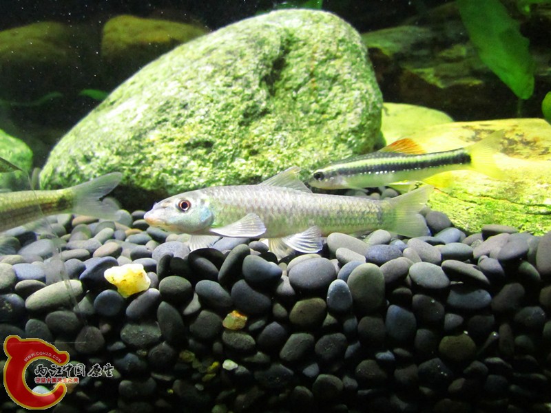 IMG_6760_副本.jpg