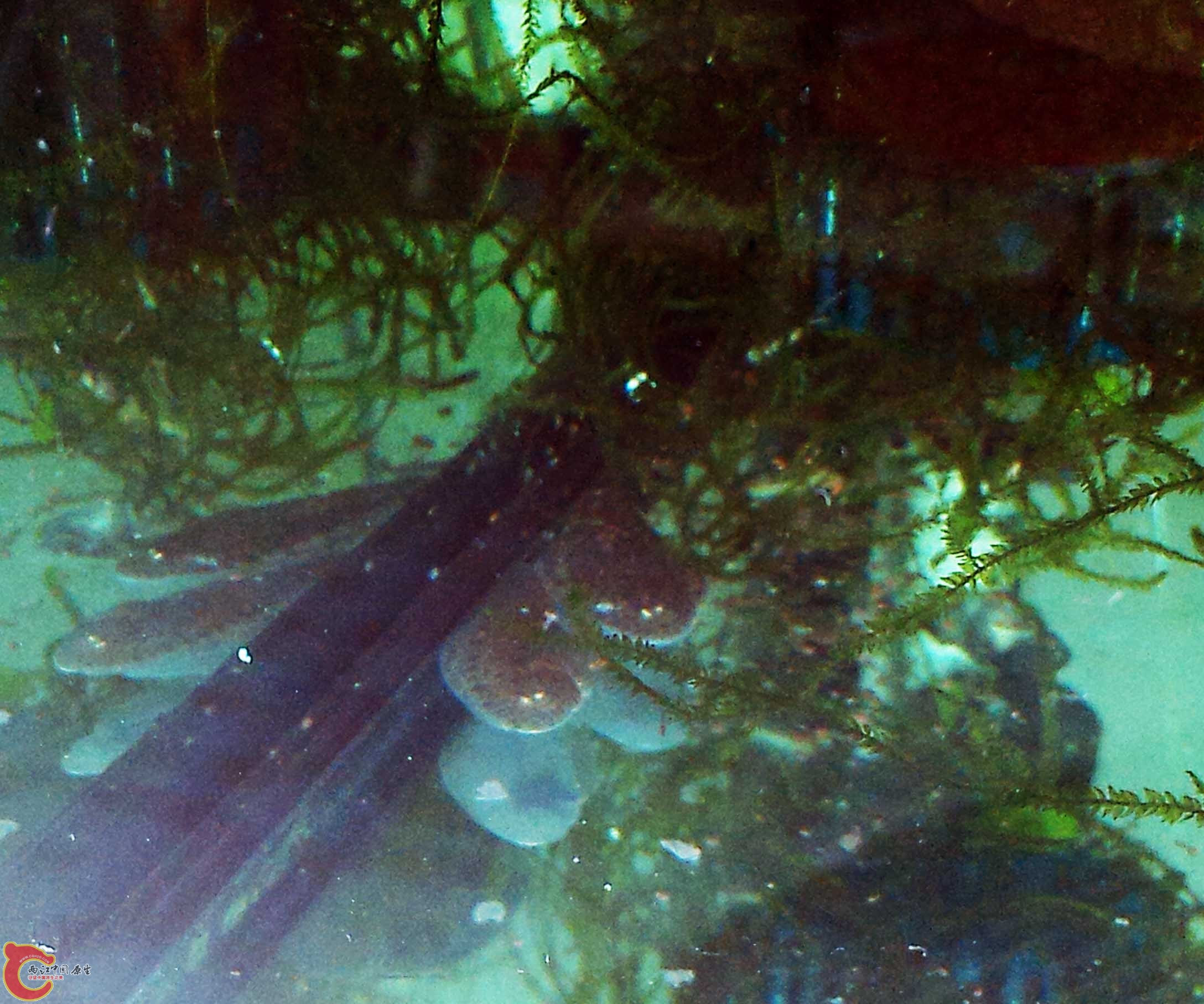 P30223-153318.jpg