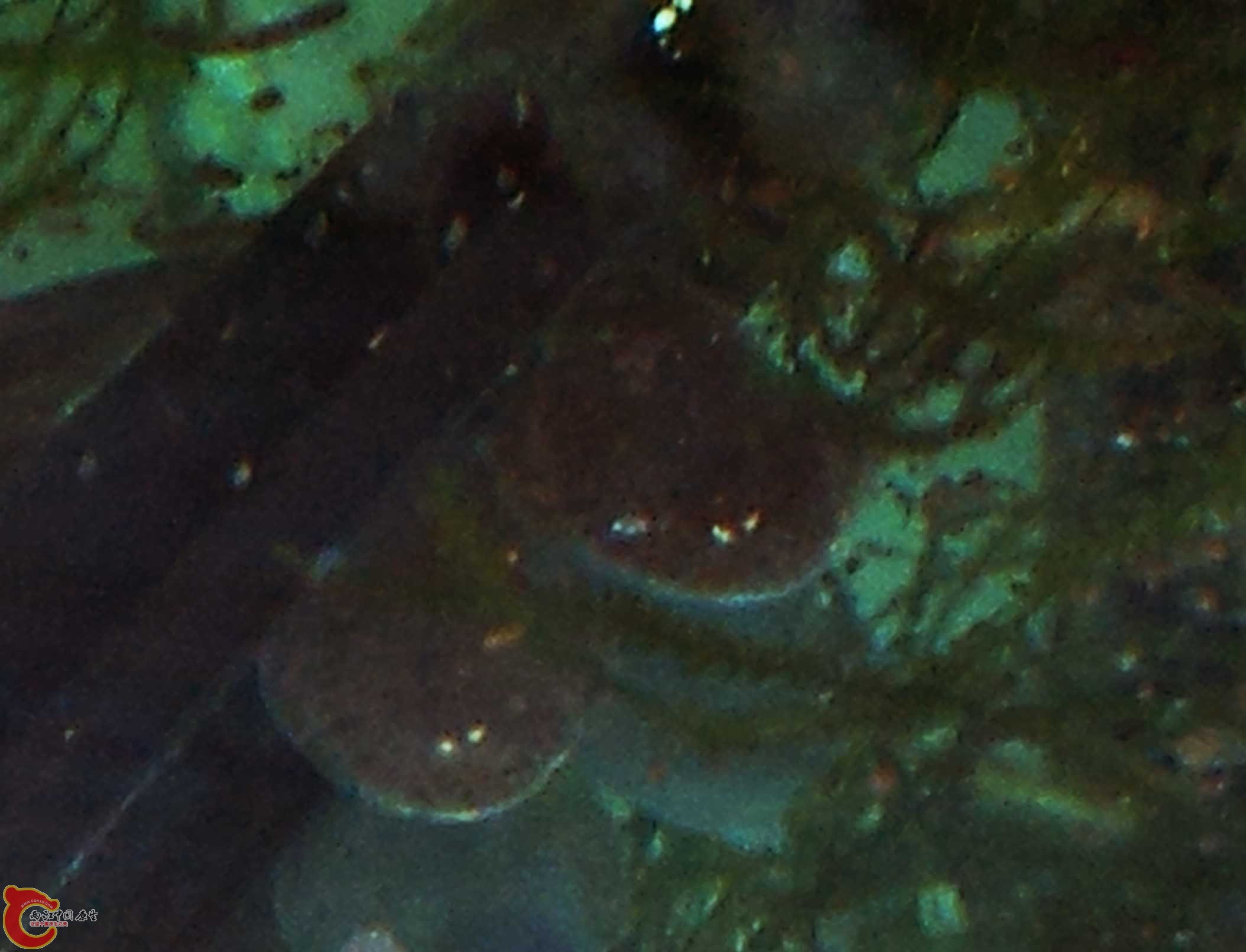 P30223-153405.jpg