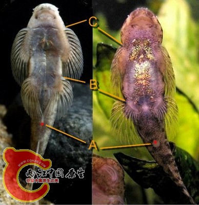 image_preview.jpg image_preview.jpg