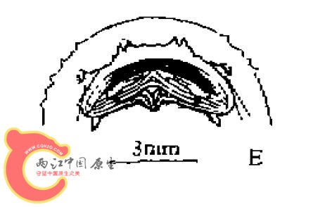 myseri.jpg myseri.jpg