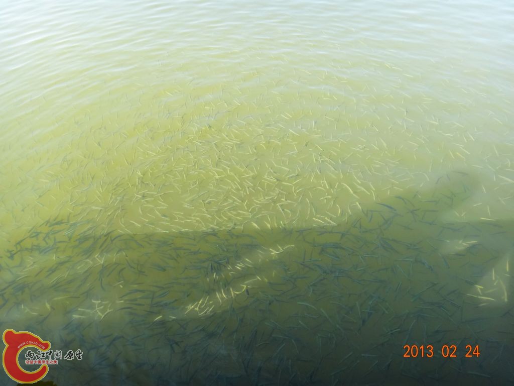 DSC00783.JPG