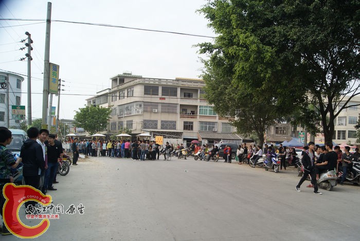 81.jpg
