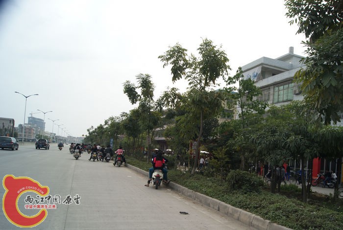 83.jpg