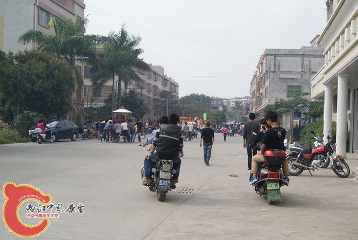 89.jpg
