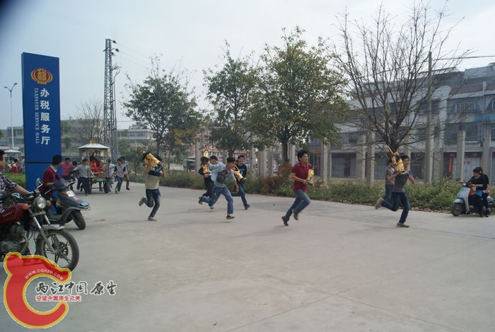 91.jpg