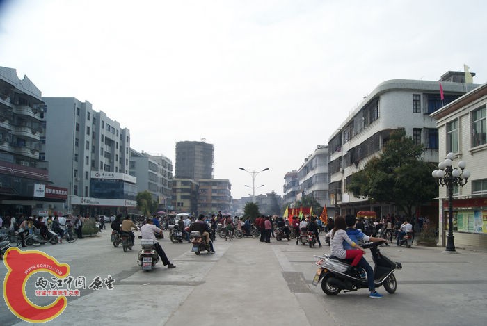 98.jpg