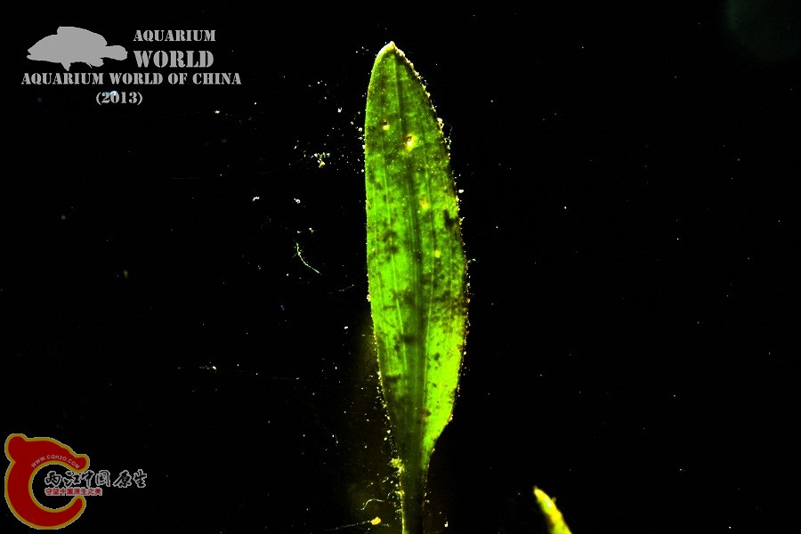 IMG_1621 - 副本.jpg