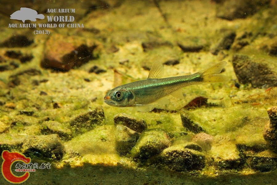 IMG_1570 - 副本.jpg