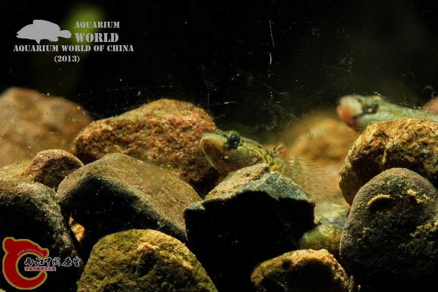 IMG_1636 - 副本.jpg