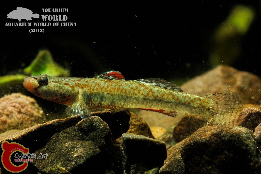 IMG_1637 - 副本.jpg