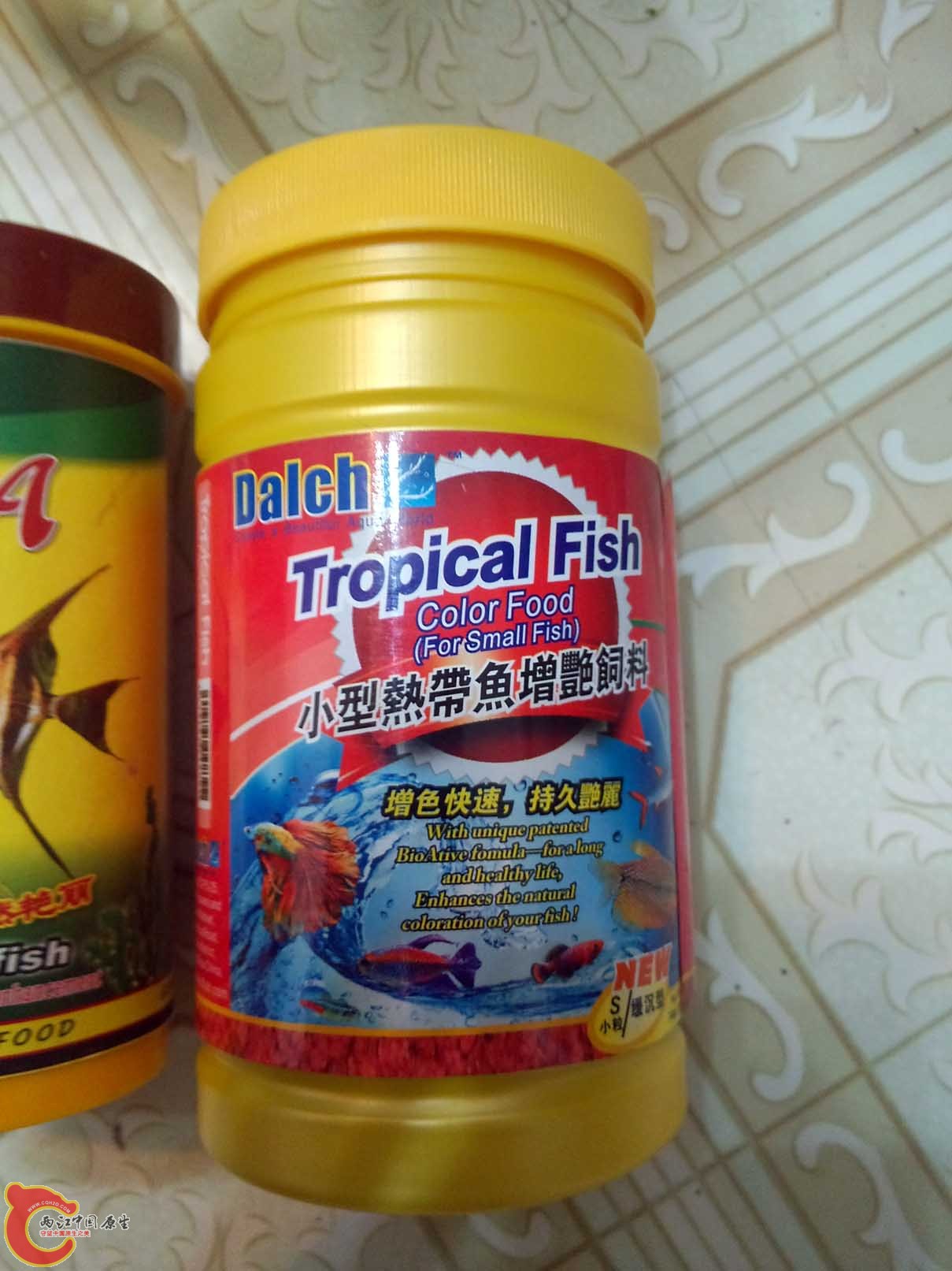 小型颗粒-不建议多喂，掉色且容易很鱼腹水。