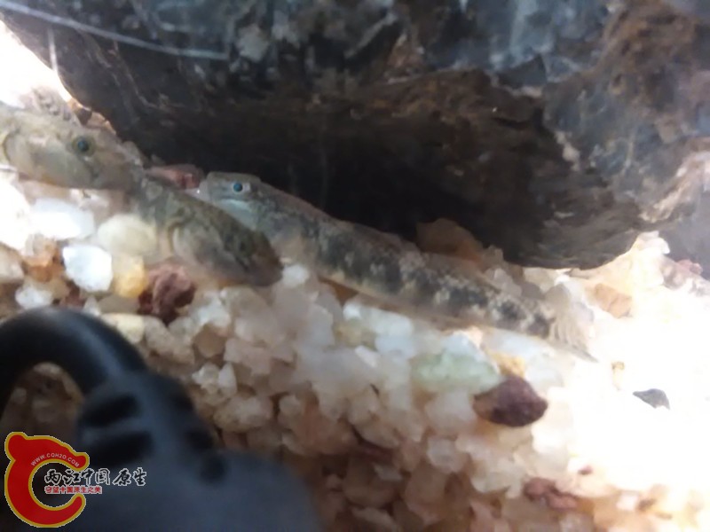 IMG_20130302_222233_副本.jpg