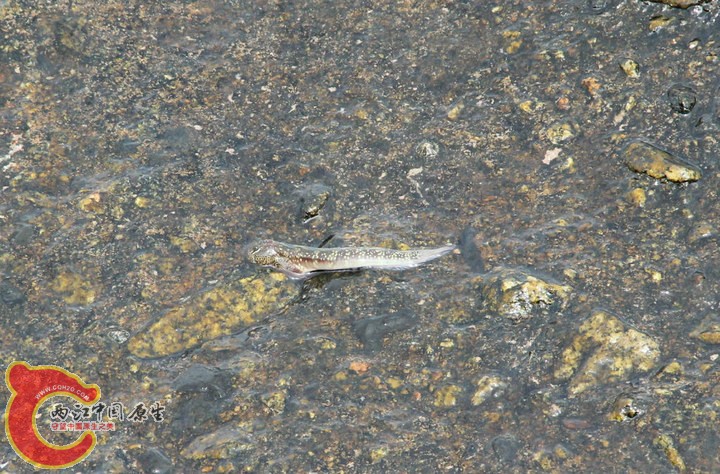 large_hYKI_1294000086b4118f.jpg