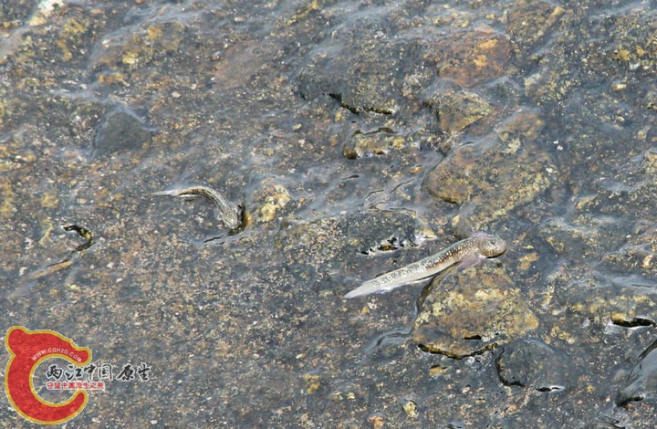 large_k0ja_4f250000864c118c.jpg