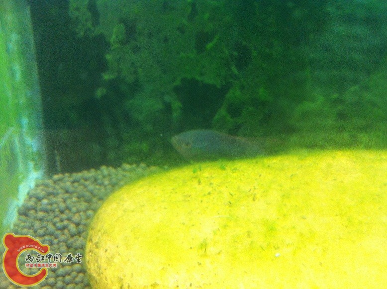 IMG_0470.JPG