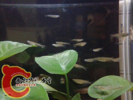 IMG20130306210101.jpg