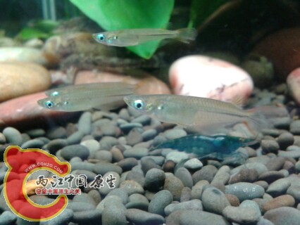 IMG20130306210144.jpg