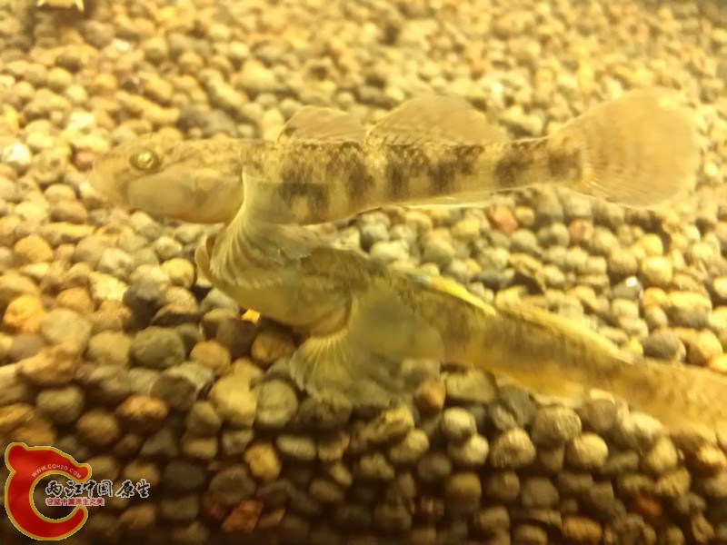 别怕，哥哥保护你