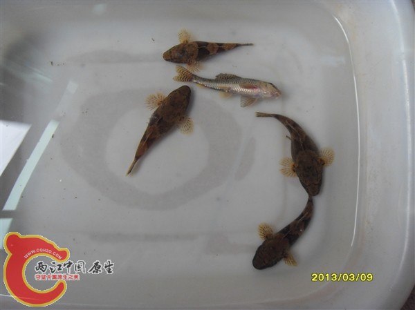 SDC10002_副本.jpg