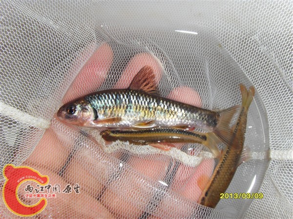 SDC10020_副本.jpg