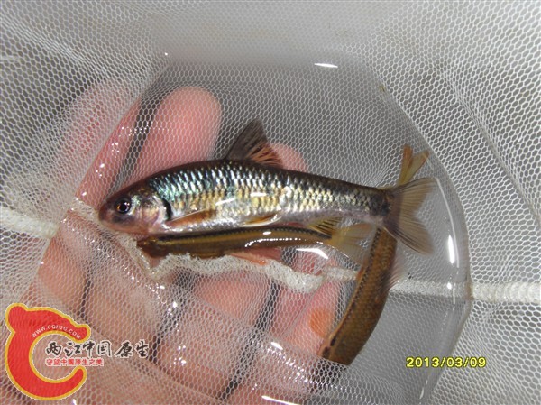 SDC10019_副本.jpg