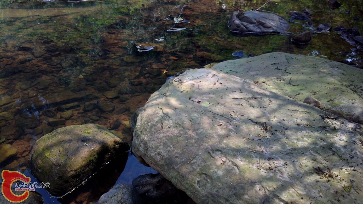 2013-03-09-3550.jpg