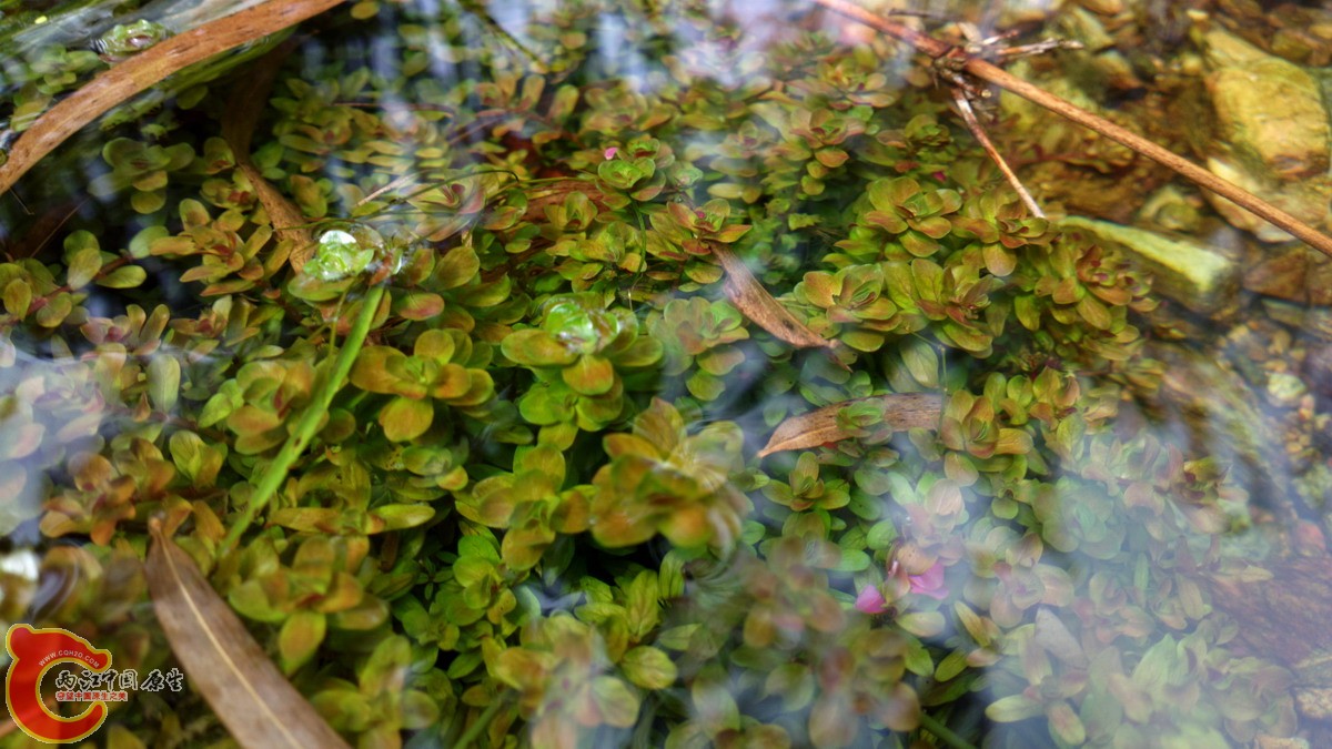2013-03-09-3452.jpg