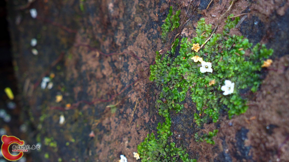 2013-03-09-3474.jpg
