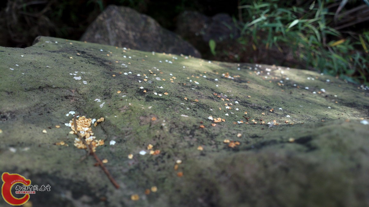2013-03-09-3478.jpg