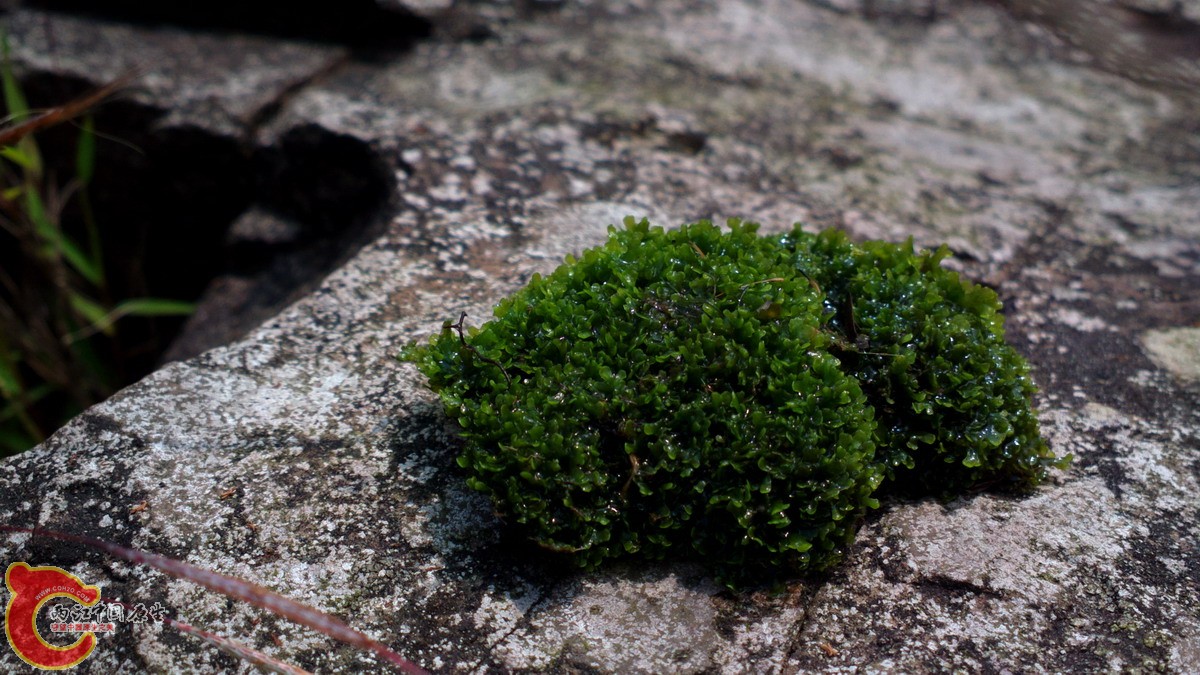2013-03-09-3494.jpg