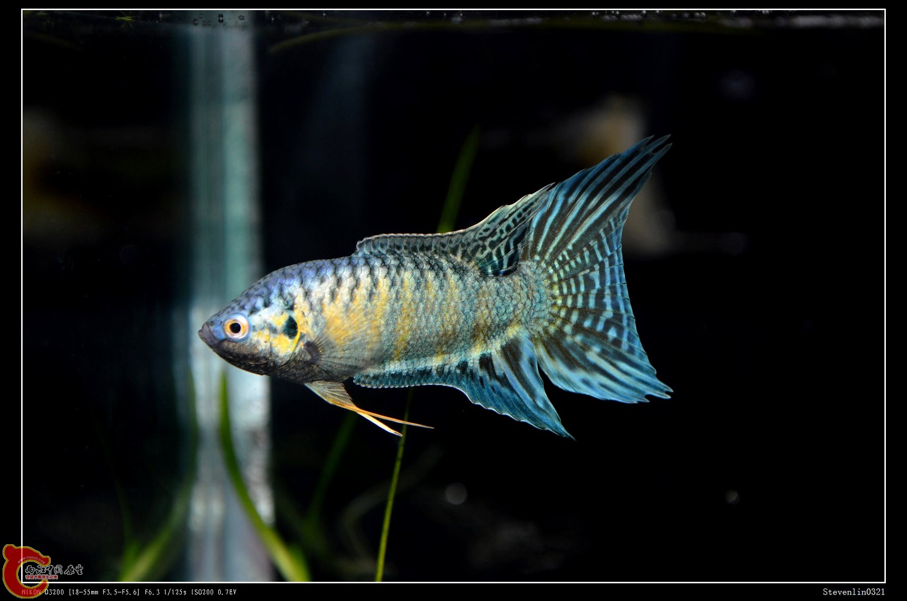 DSC_0434.jpg