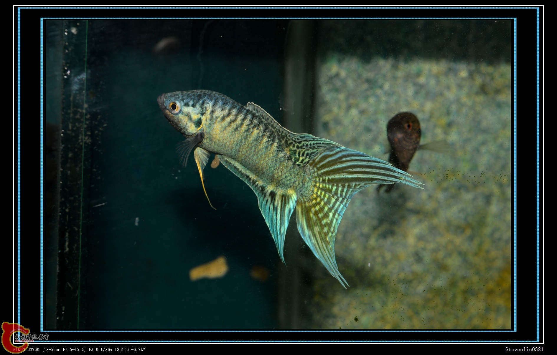 DSC_0695.jpg