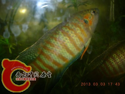 DSCN0107.jpg