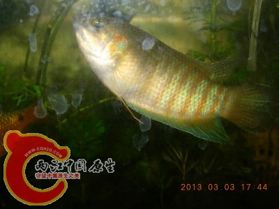 DSCN0109.jpg