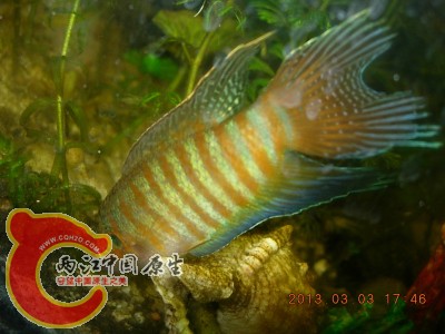 DSCN0114.jpg