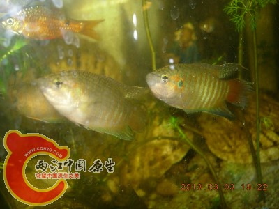 DSCN0118.jpg