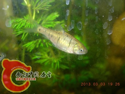 DSCN0128.jpg