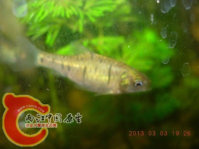DSCN0130.jpg