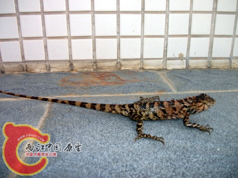 DSCF8063.JPG