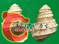 u=675978760,2225035308&fm=52&gp=0.jpg