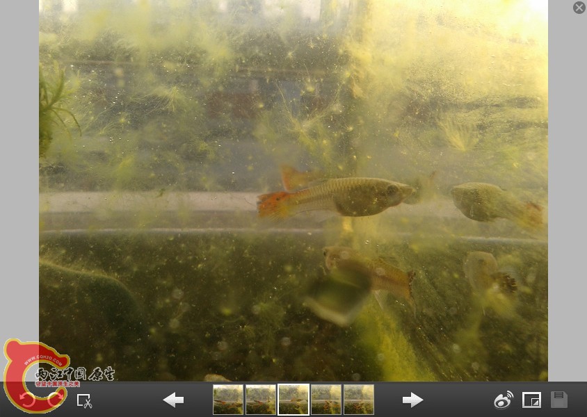 CLU%7Q32B@][@LMQ24[)6F1.jpg