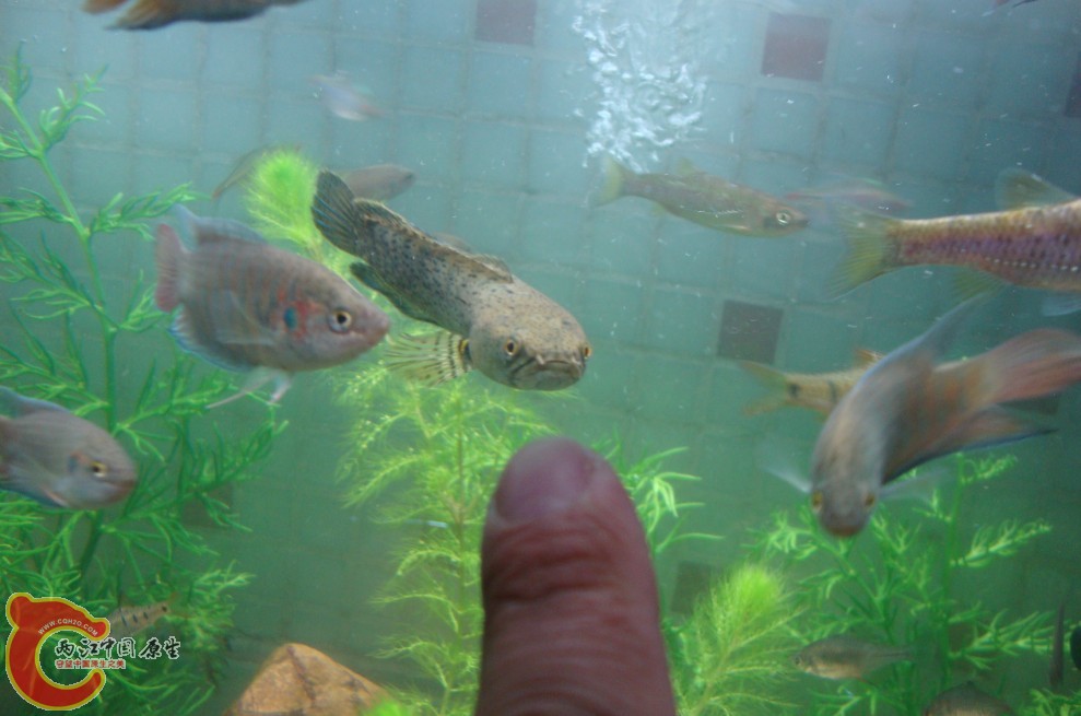 3$BFWIS3AVT}QP0RNKLF[4D.jpg