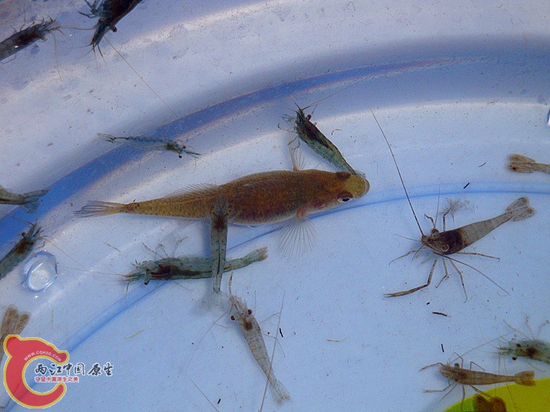DSC03552_副本.jpg