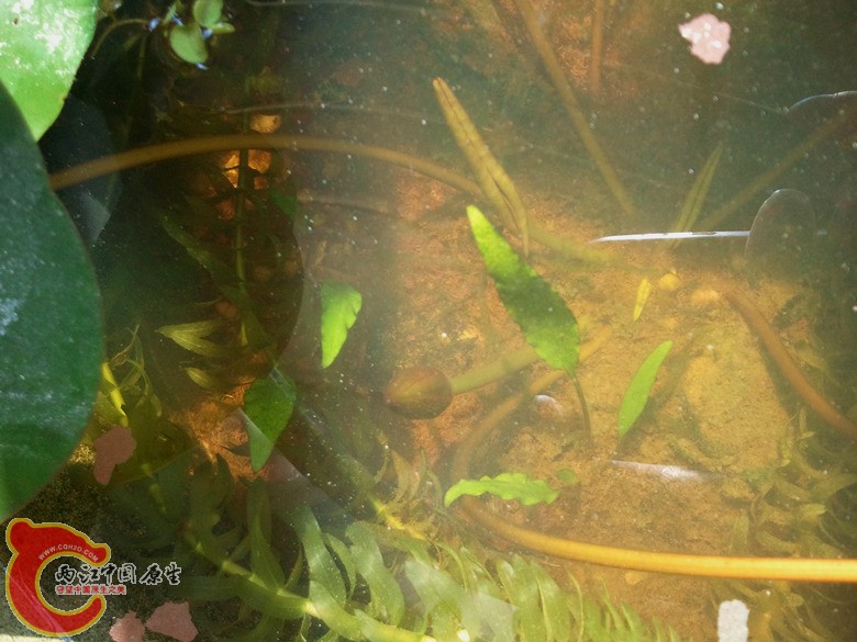 2013-03-09 10.47.06_副本.jpg
