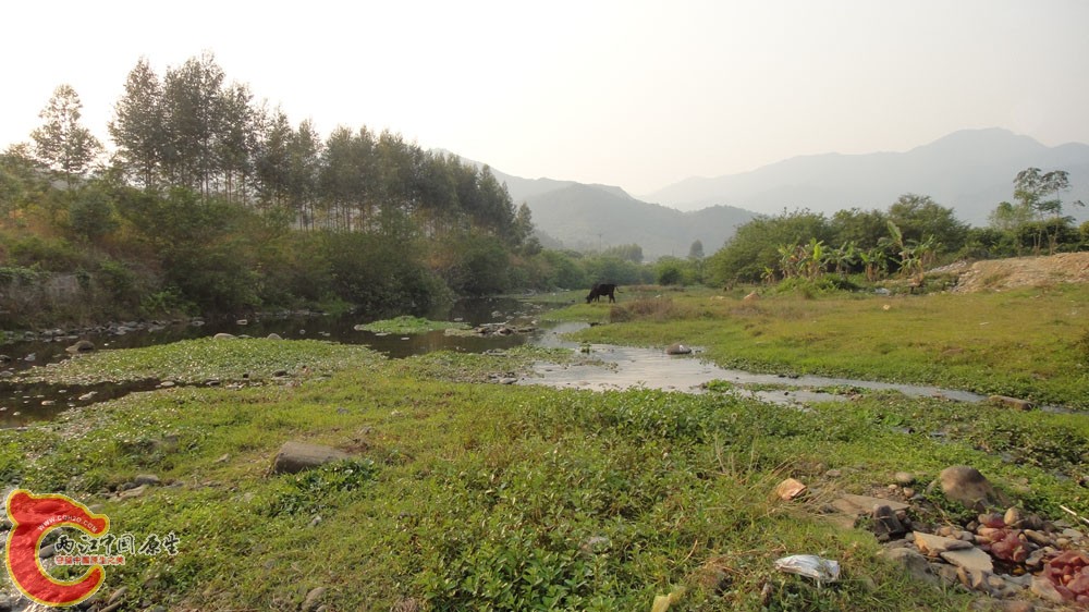 2huanjing (4).jpg