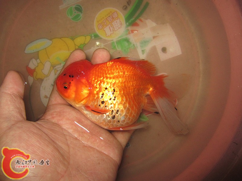 IMG_6903_副本.jpg